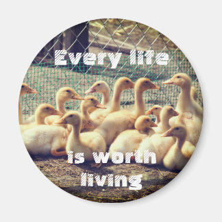Cruelty free magnet with ducks, vegan