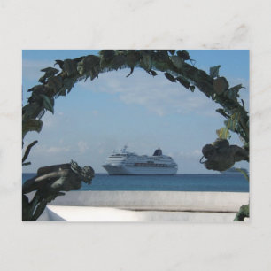 Cruise Cozumel MEXICO Postcard