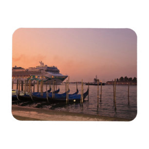 Cruise Ship and Gondolas near Grand Canal, Italy Magnet
