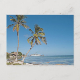 Cruise Ships in Costa Maya Postcard