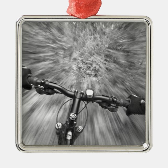 Cruising down a buff section of singletrack metal tree decoration (Front)