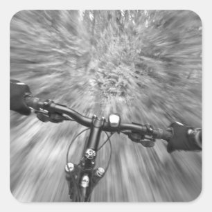 Cruising down a buff section of singletrack square sticker