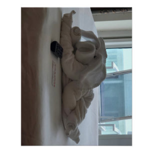 Cruising Pig Towel Animal Pet Poster