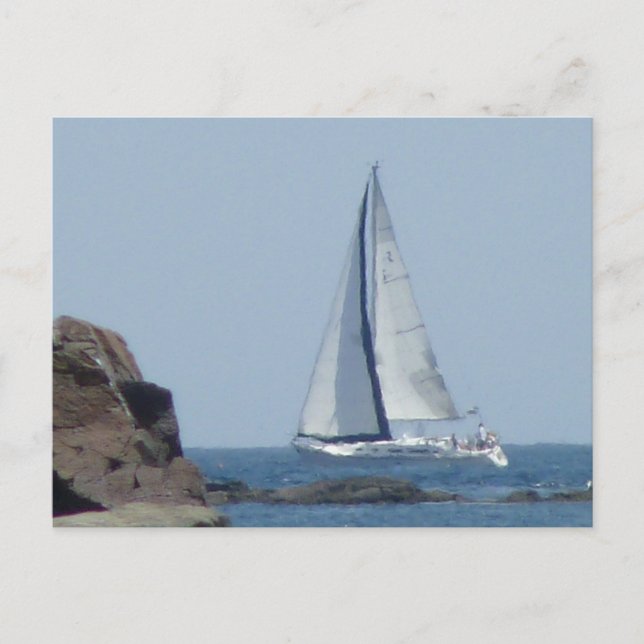 Cruising Sailboat Postcard (Front)