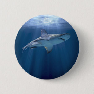 Cruising Shark 6 Cm Round Badge