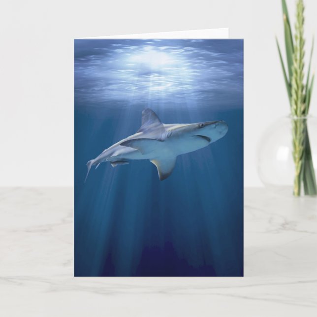 Cruising Shark Card (Front)