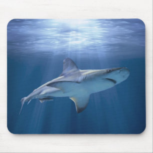 Cruising Shark Mouse Mat