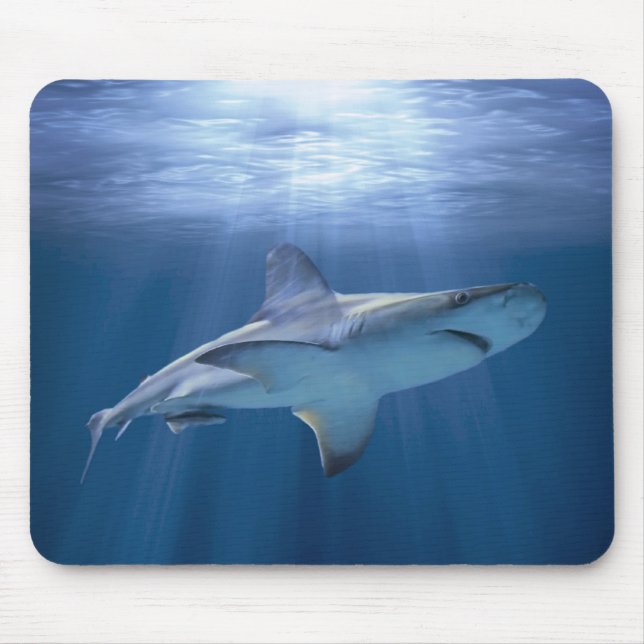 Cruising Shark Mouse Mat (Front)
