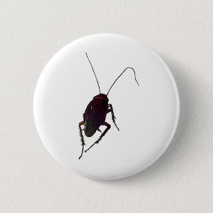 Crunchy Cockroach 6 Cm Round Badge