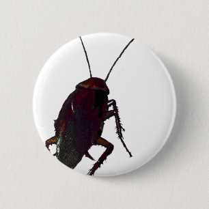 Crunchy Cockroach 6 Cm Round Badge