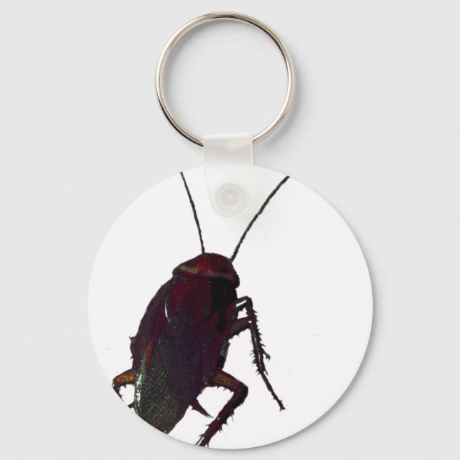 Crunchy Cockroach Key Ring (Front)