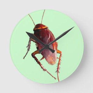 Crunchy Cockroach Round Clock