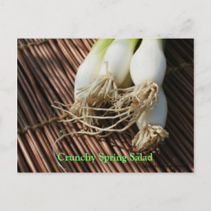 Crunchy Spring Salad Postcard