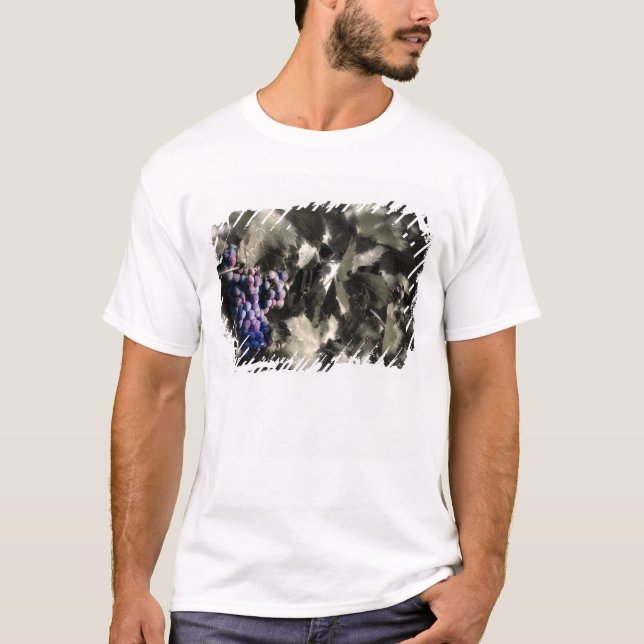 Crush at Tefft Cellars main vineyard T-Shirt (Front)