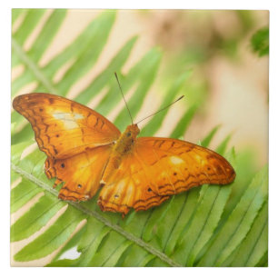 Crusier butterfly tile