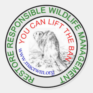 CRWM Lift the BAN! Classic Round Sticker