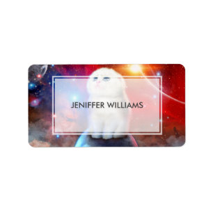 Crying cat in space                                label