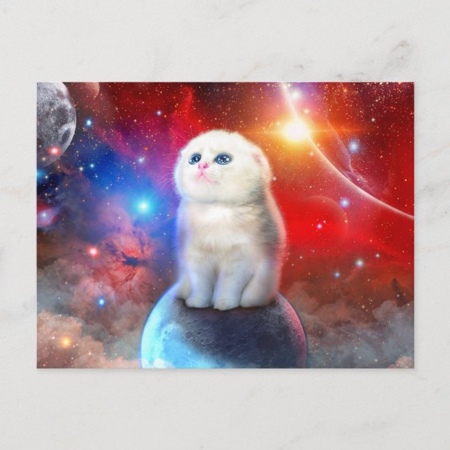 Crying cat in space                                postcard (Front)