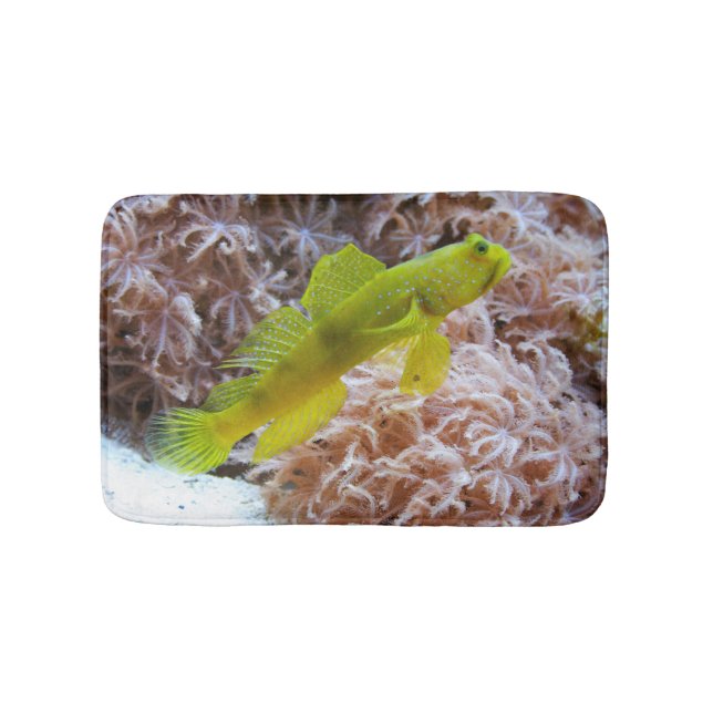 Cryptocentrus cinctus bath mat (Front)