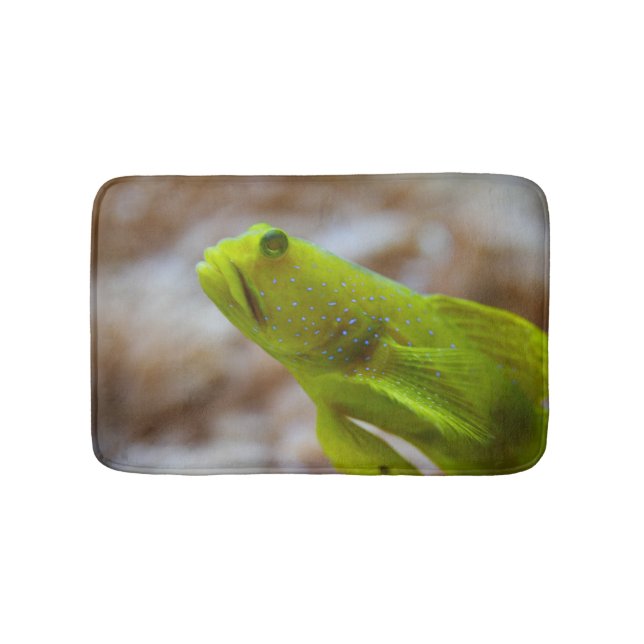 Cryptocentrus cinctus bath mat (Front)