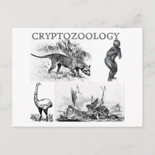 cryptozoology postcard