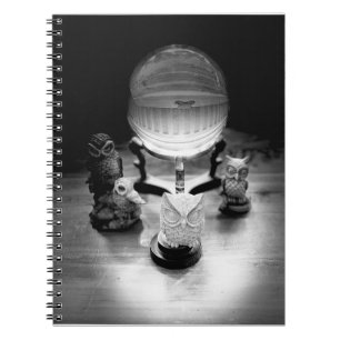 Crystal Ball and Ornamental Owls Notebook
