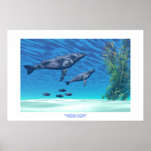 CRYSTAL CLEAR PRINT