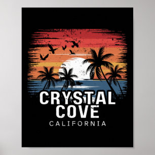 Crystal Cove State Park California Surfing Surfer  Poster
