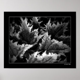 Crystal Morning Poster