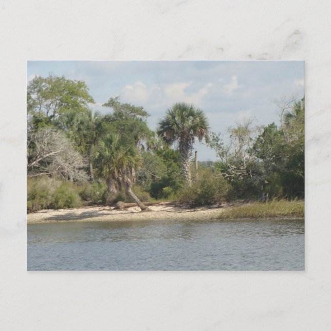 Crystal River Florida Postcard (Front)