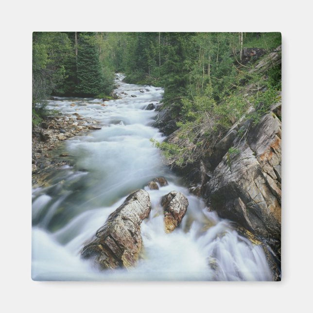 Crystal River, Gunnison National Forest, Magnet (Front)