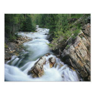 Crystal River, Gunnison National Forest, Photo Print
