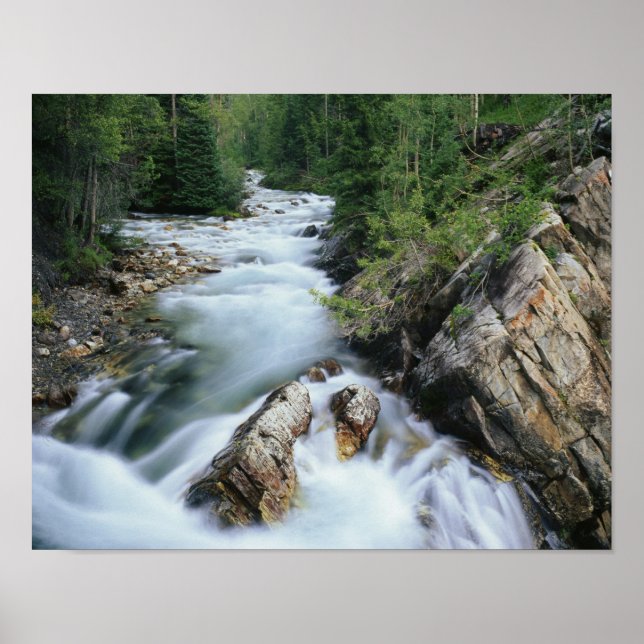Crystal River, Gunnison National Forest, Poster (Front)