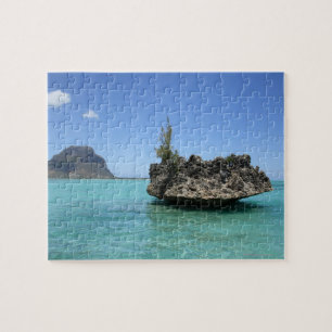 Crystal rock composed of coral jigsaw puzzle