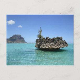 Crystal rock composed of coral postcard