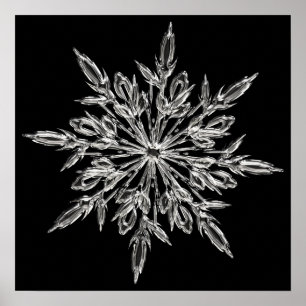 Crystal snowflake poster