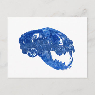 Crystal Water Cat Skull Postcard