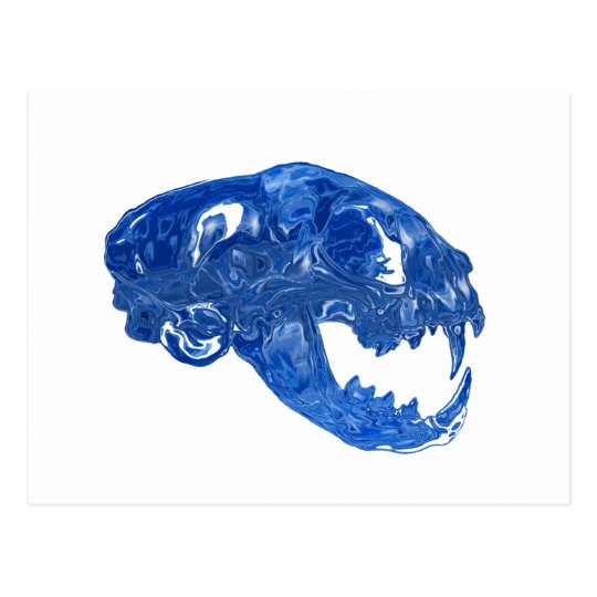 Crystal Water Cat Skull Postcard