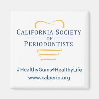 CSP Logo 2 inch by 2 inch magnet