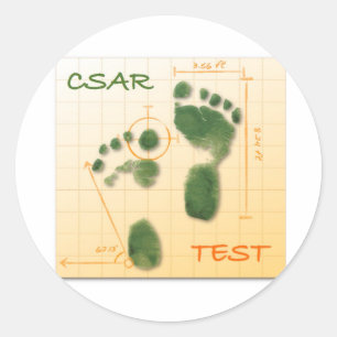 CTF FTE CLASSIC ROUND STICKER