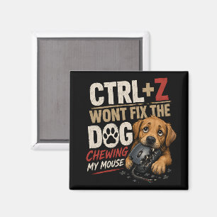 CTRL + Z Won't Fix the Dog Chewing My Mouse Magnet