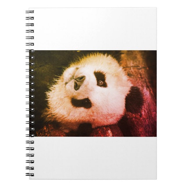 Cuaderno Bear Panda Life Style  trending product Notebook (Front)