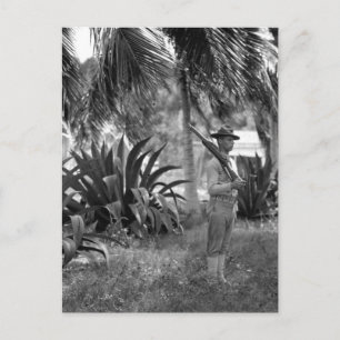 Cuba, Guantanamo Sentry beneath palms_War Image Postcard
