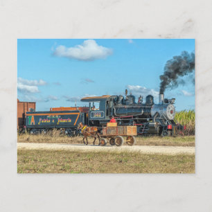 Cuba. Sugar plantation traffic. Postcard