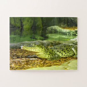 Cuban crocodile animal jigsaw puzzle