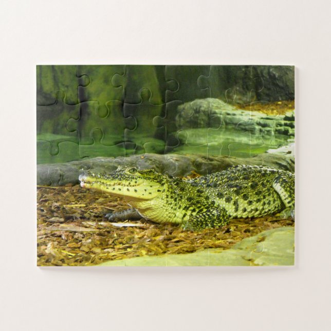 Cuban crocodile animal jigsaw puzzle (Horizontal)