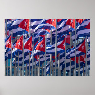 Cuban flags, Habana, Cuba Poster