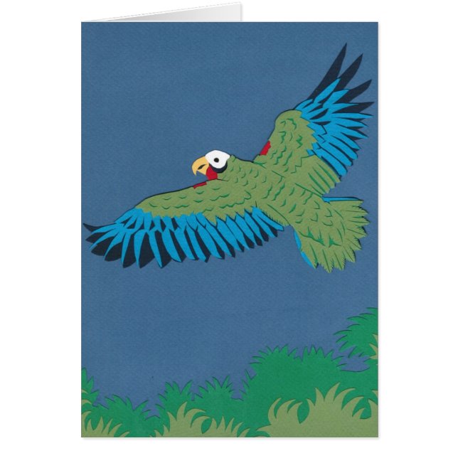 Cuban Parrot (Front)