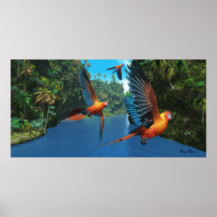 Cuban Red Macaw 2 Print