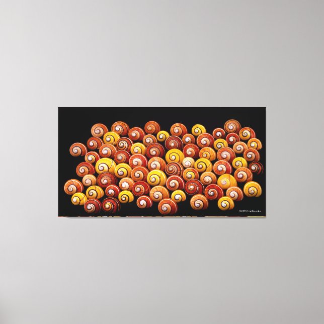 Cuban Tree Snails Canvas Print (Front)